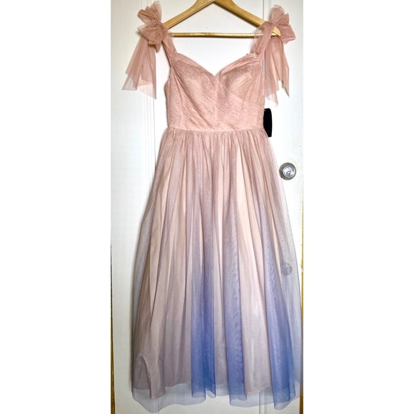 Aidan Ombré Mesh tea Length Dress - Picture 4 of 5